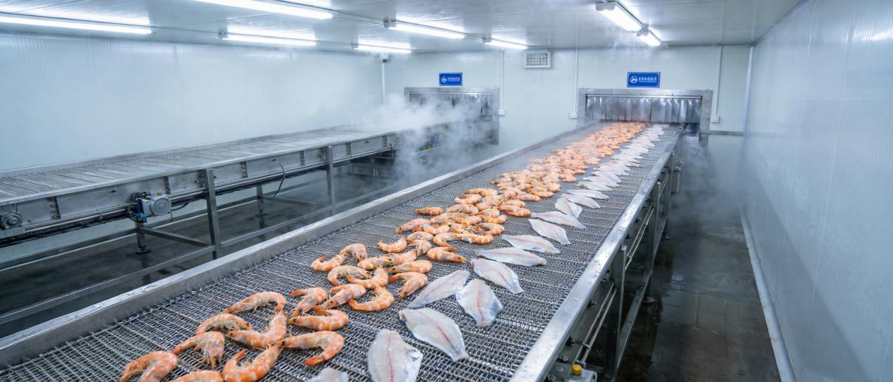 Belt Conveyor System Empowers Seafood Cold Chain: Efficiency Upgrade Case of a Japanese 10,000-Ton Seafood Processing Enterprise
