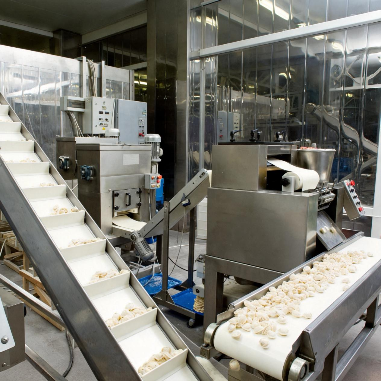 Material Transfer in a Food Processing Plant
