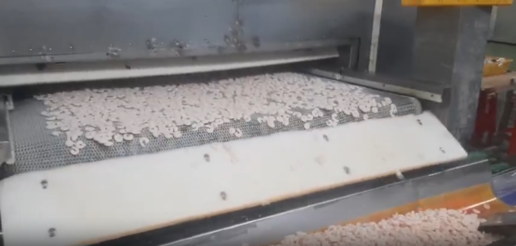 Mesh Belt Conveyor 2