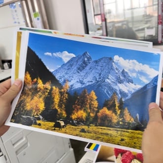 Como Escolher o Cartucho de Toner Certo para a Sua Copiadora: Um Guia do Comprador