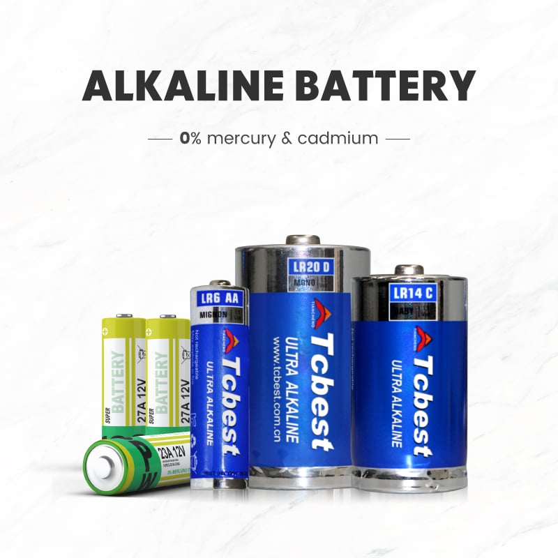 ALKALINE BATTERY