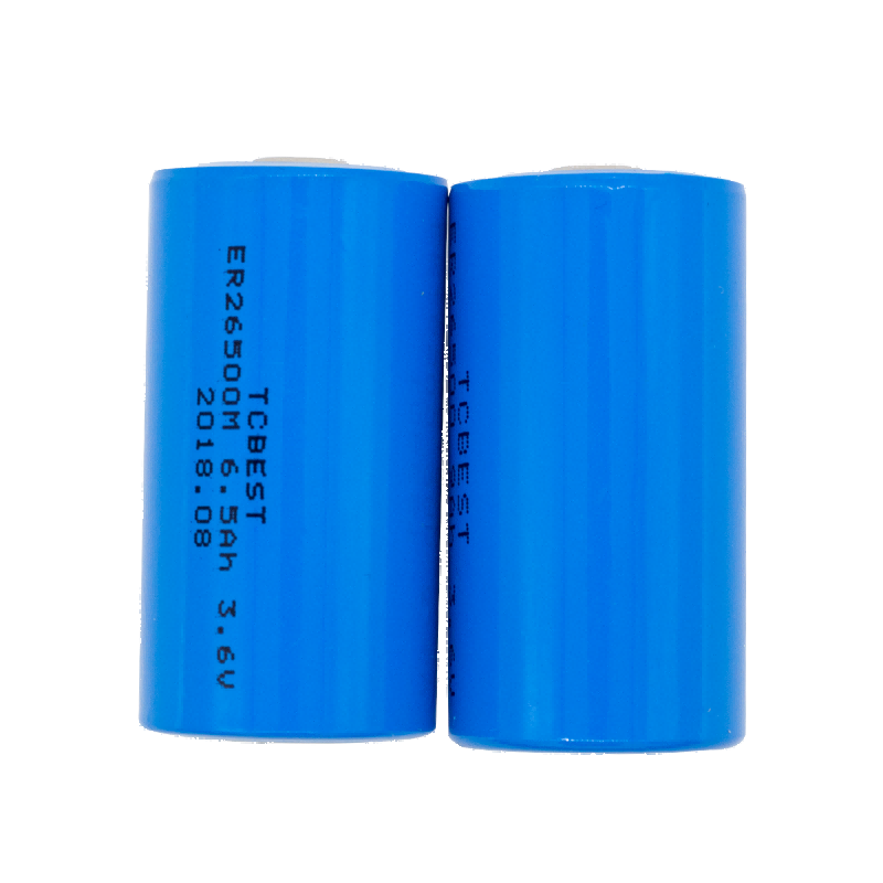 ER26500 3.6V 6500mAh Li-SOCL2 Battery Factory
