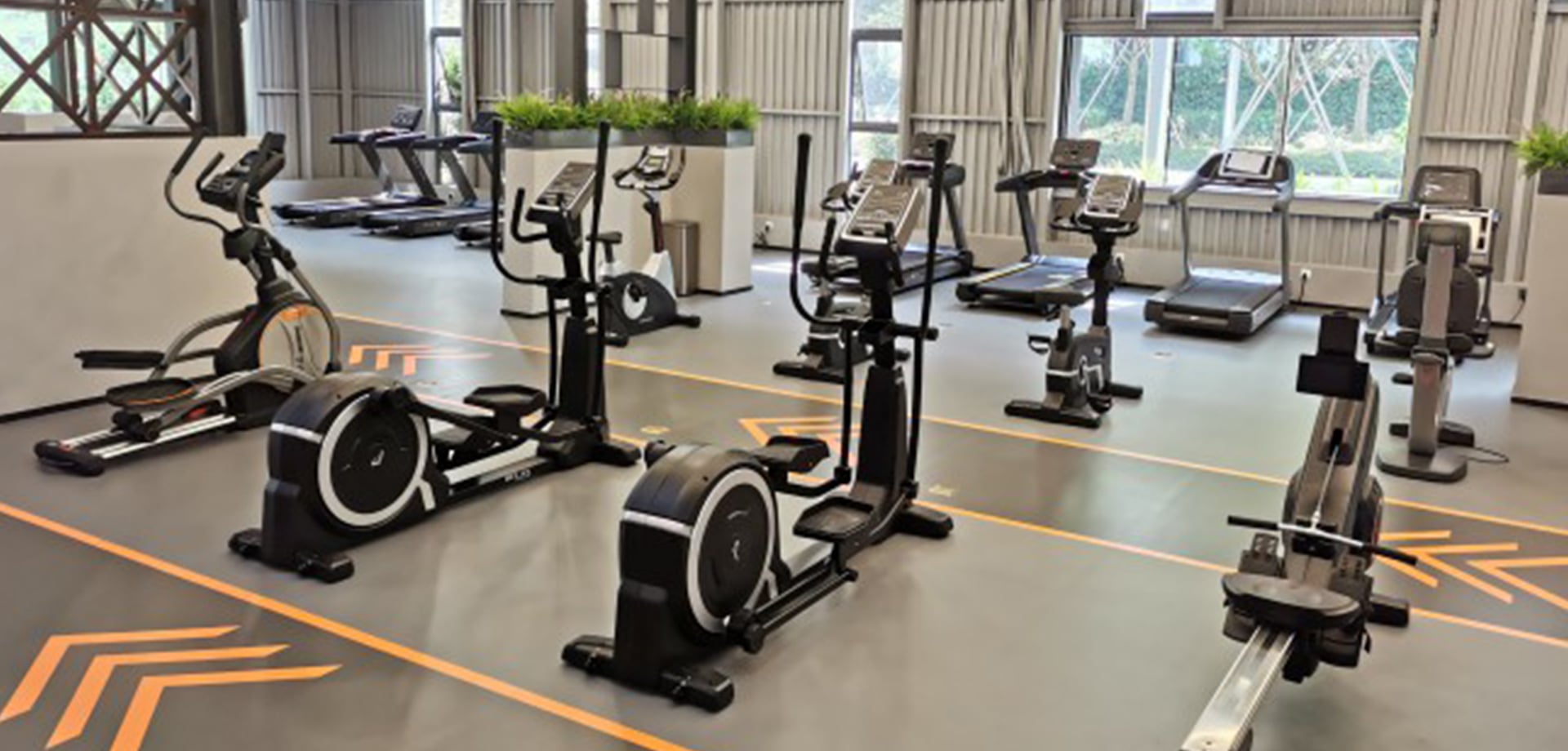 Commercial Chain Gyms