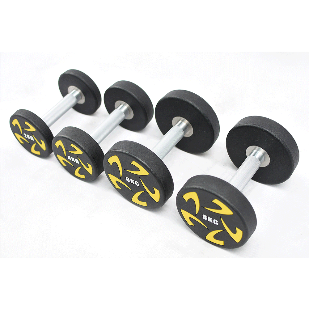 CPU Round Steel Dumbbell (kg)