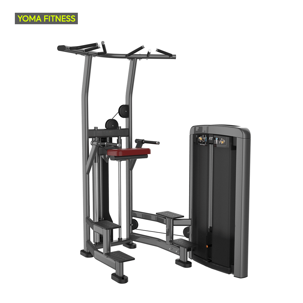 YOMA FITNESS LF Series Assist Dip Chin