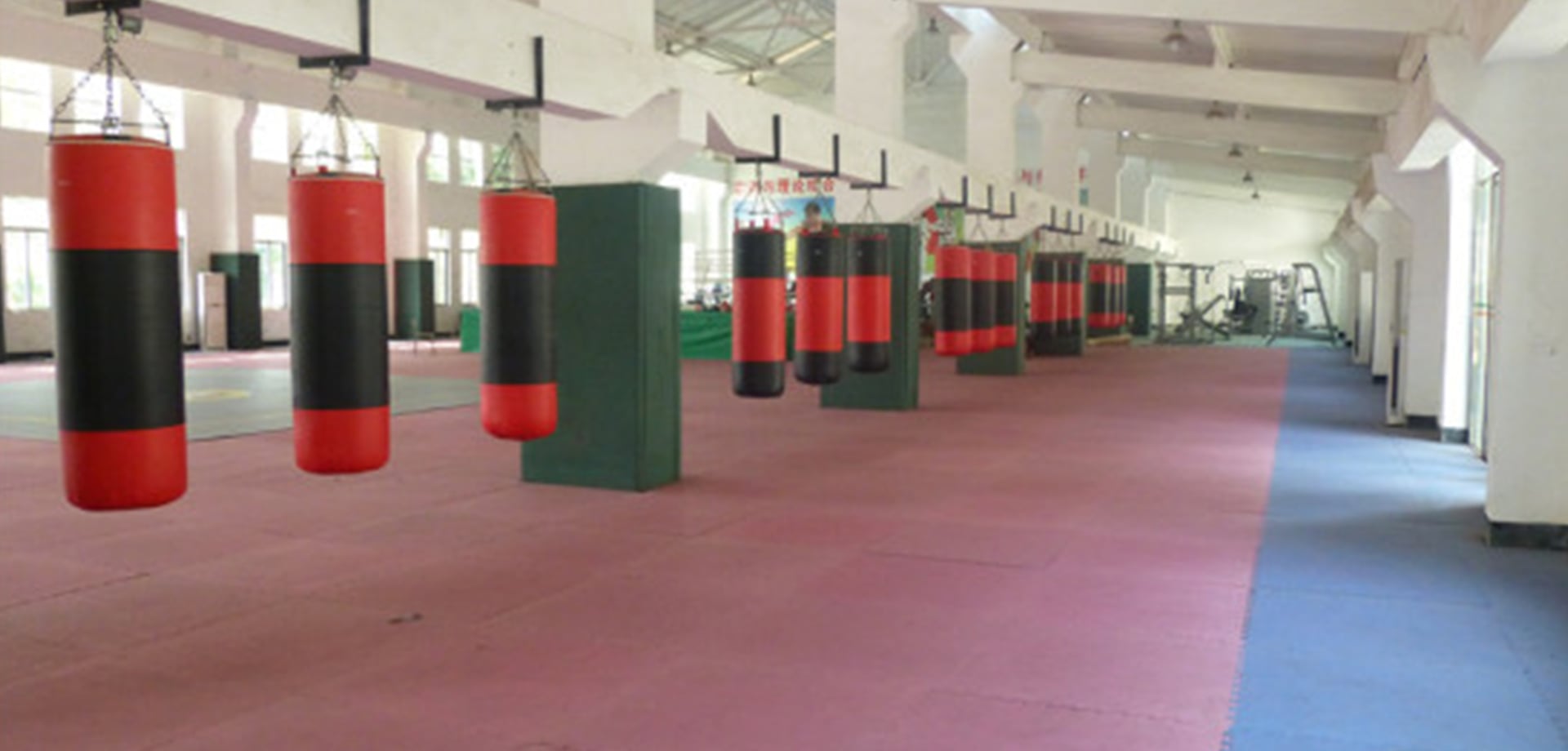 Professional Athlete Training Centers/sports hall