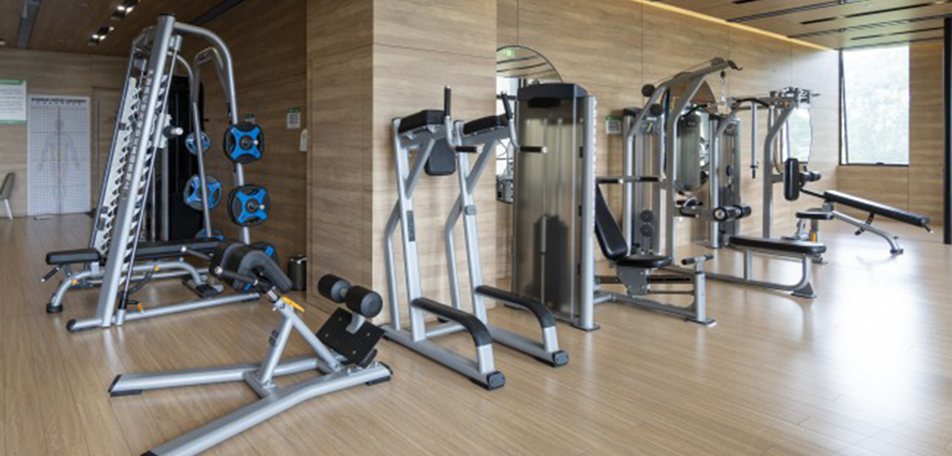 Rehabilitation & Physical Therapy  Centers