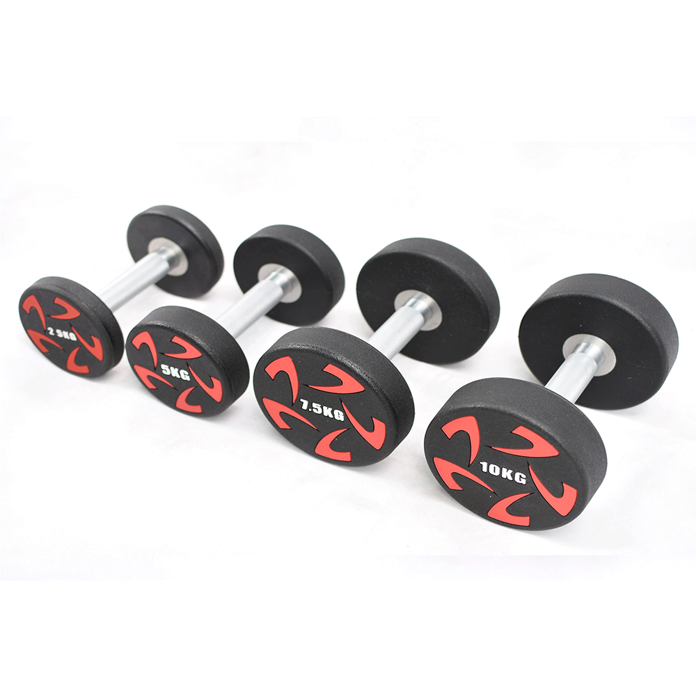 CPU Round Steel Dumbbell (kg)