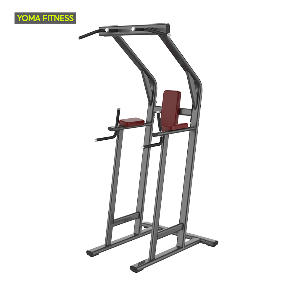 YOMA FITNESS LF Dip & Leg Raise Combo Station