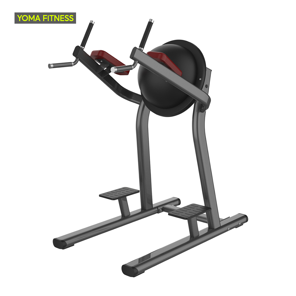 YOMA FITNESS LF Dip/Leg Raise