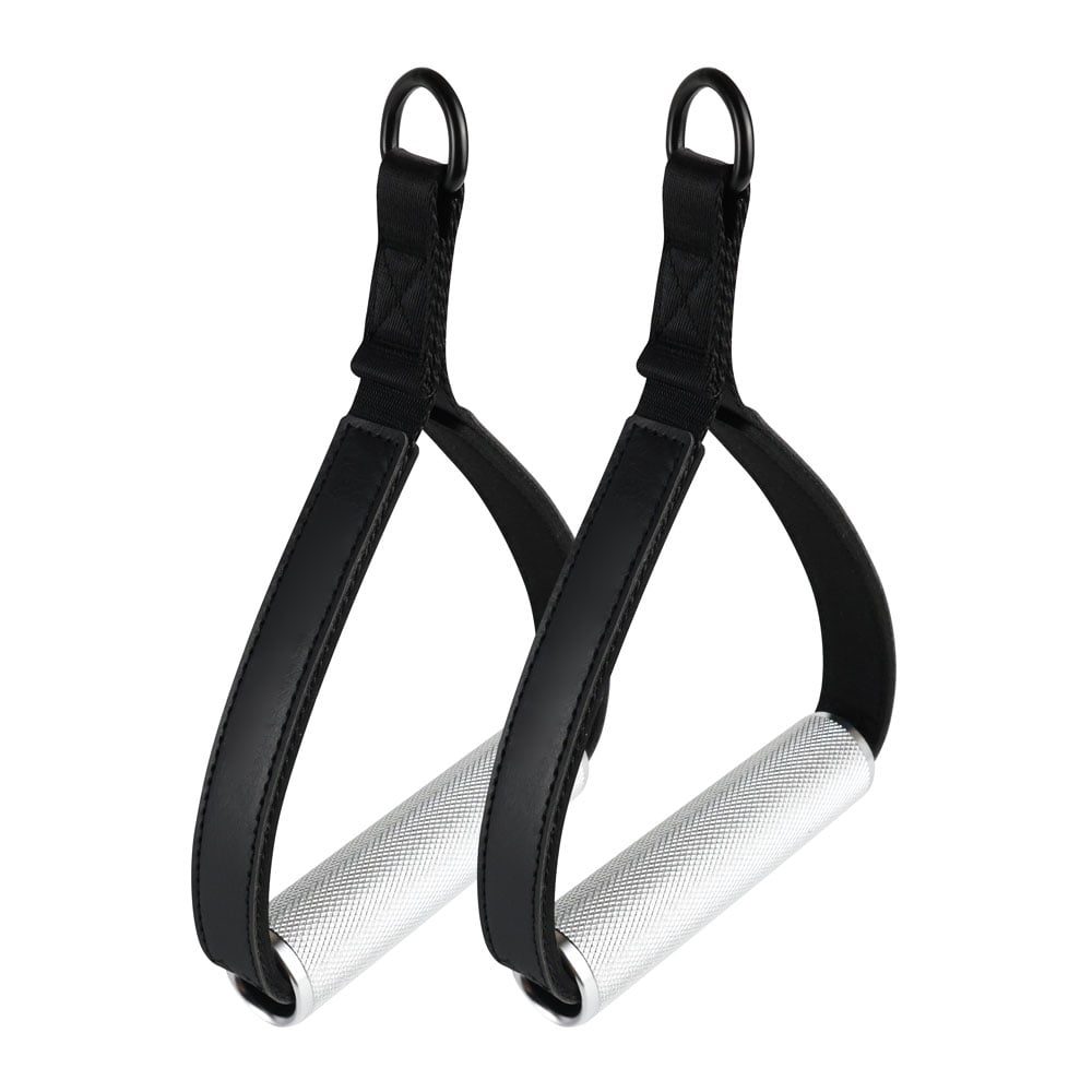 Workout Handle