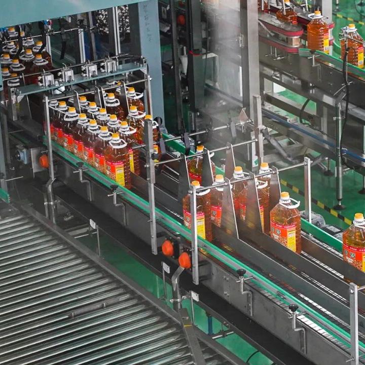 Common Usage Issues with Oil Filling Machines and How to Solve Them