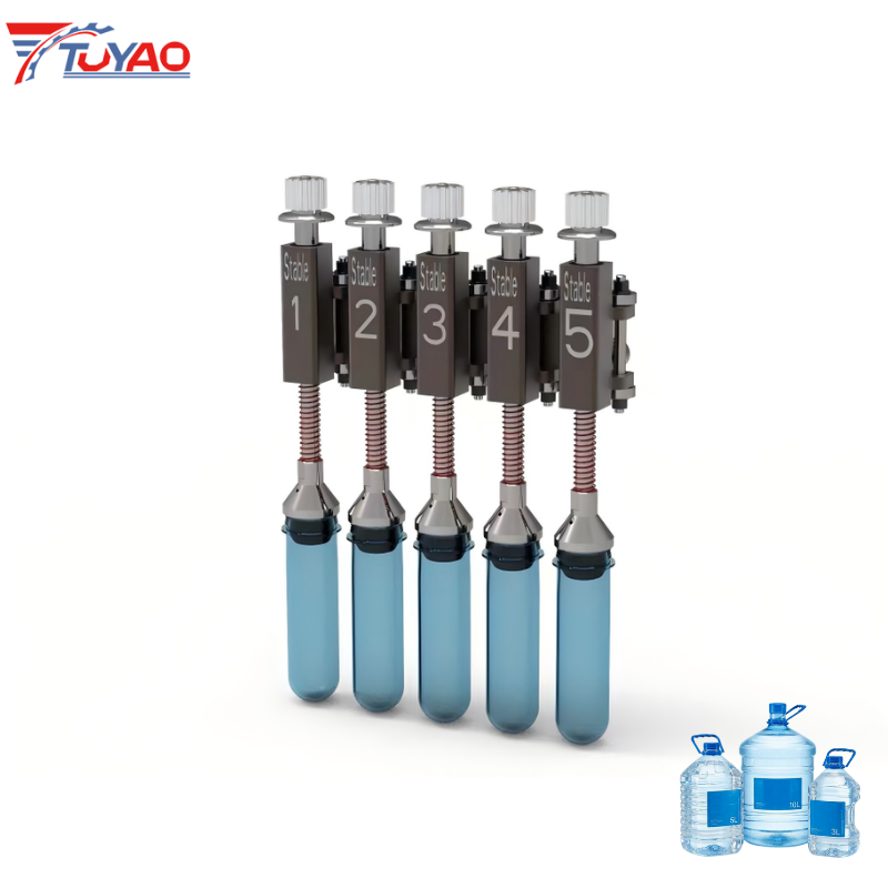 Fully Automatic 5L PET Bottle Blow Molding Machine
