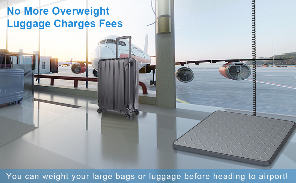 Compact and Travel-Friendly Design