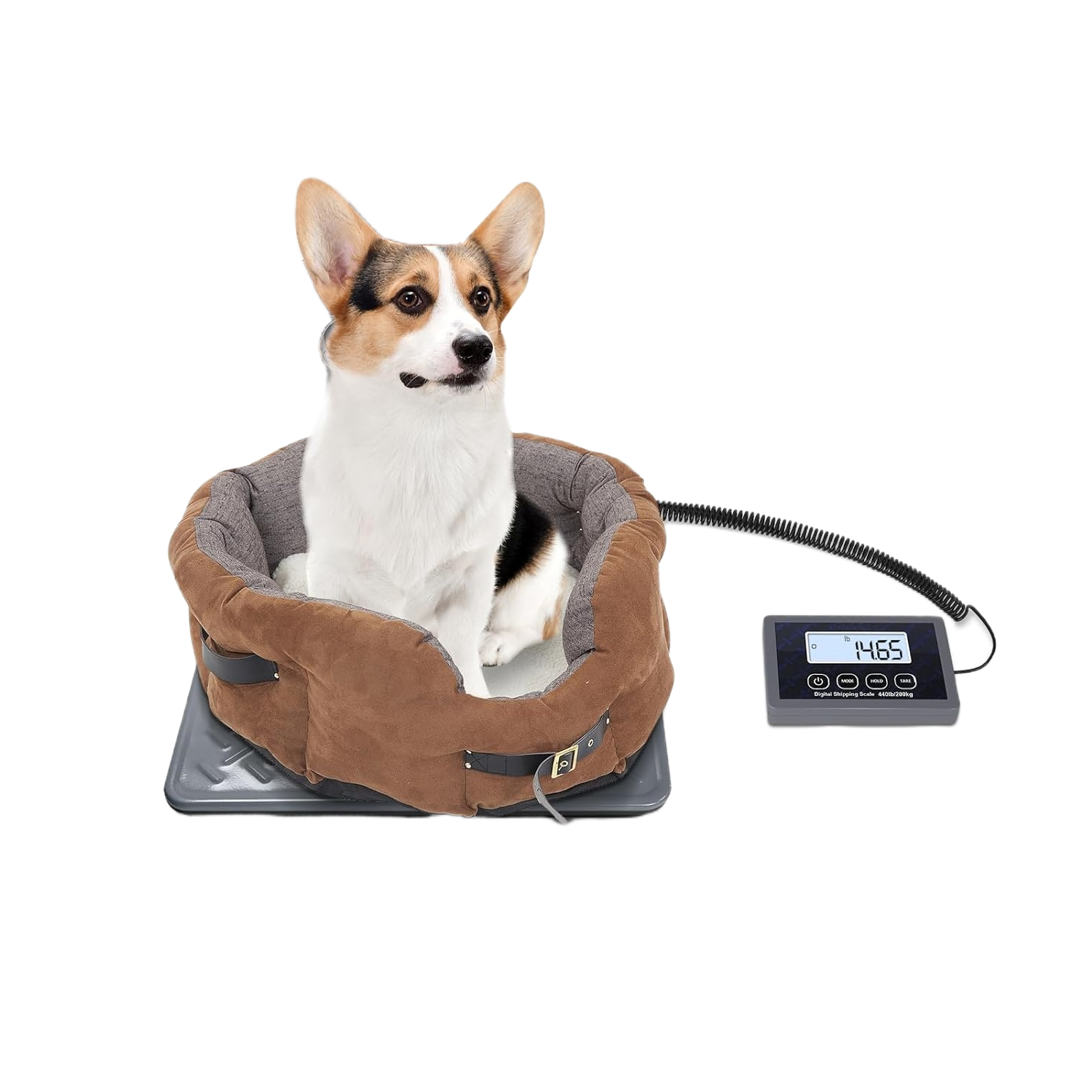 Discover the Benefits of Our Accurate Postage Scale for Your Shipping Needs
