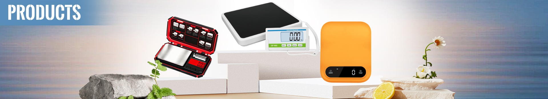 Heavy-Duty Crane & Portable Hanging Scales | ACCT Electronics