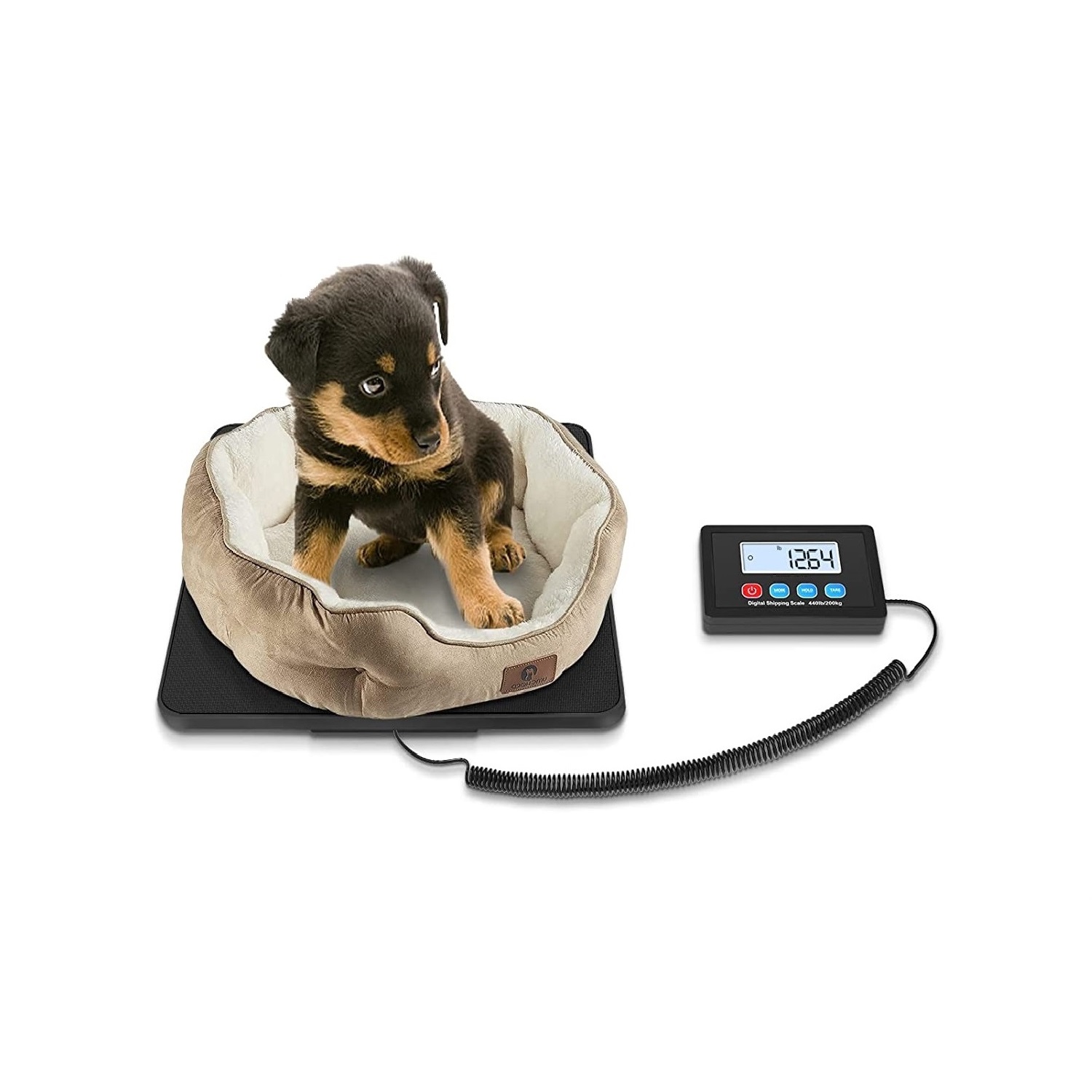 Portable and Convenient