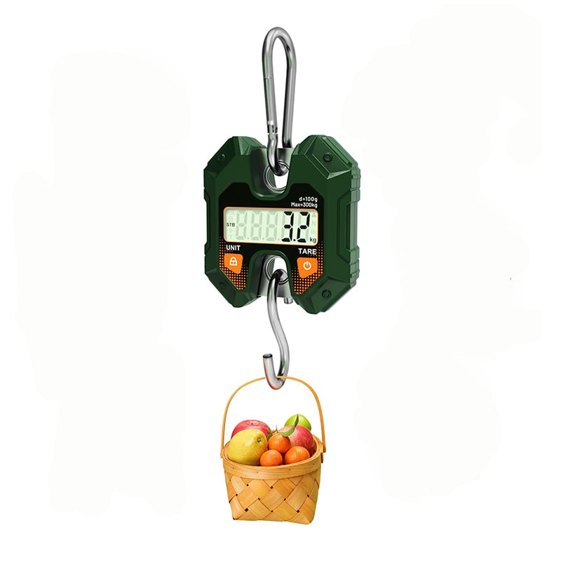 Crane Scale