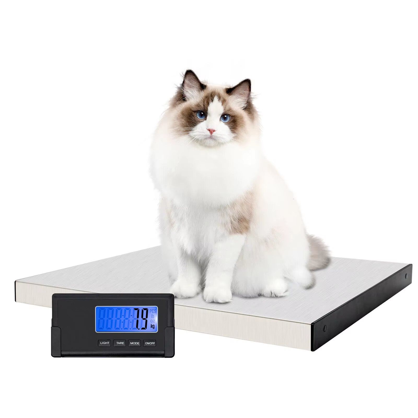 Postal Scale