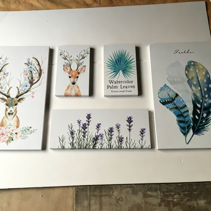 Printable Self Adhesive Vinyl for Indoor and Outdoor Graphics