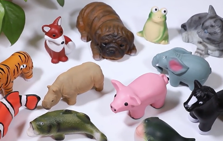 Stress Cute Animal in Various Designs