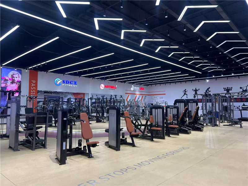 Launches New Commercial Strength Training Machines (4).jpg
