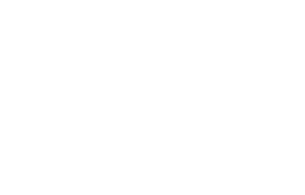 Компания Weihai Bosheng Advanced Materials Co., Ltd.