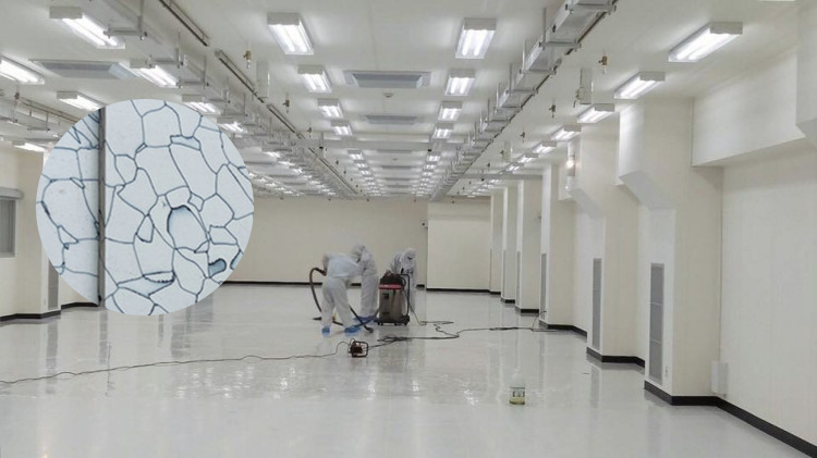 HERZESD Expands Customized ESD Protection Solutions for Electronics Manufacturing Industries