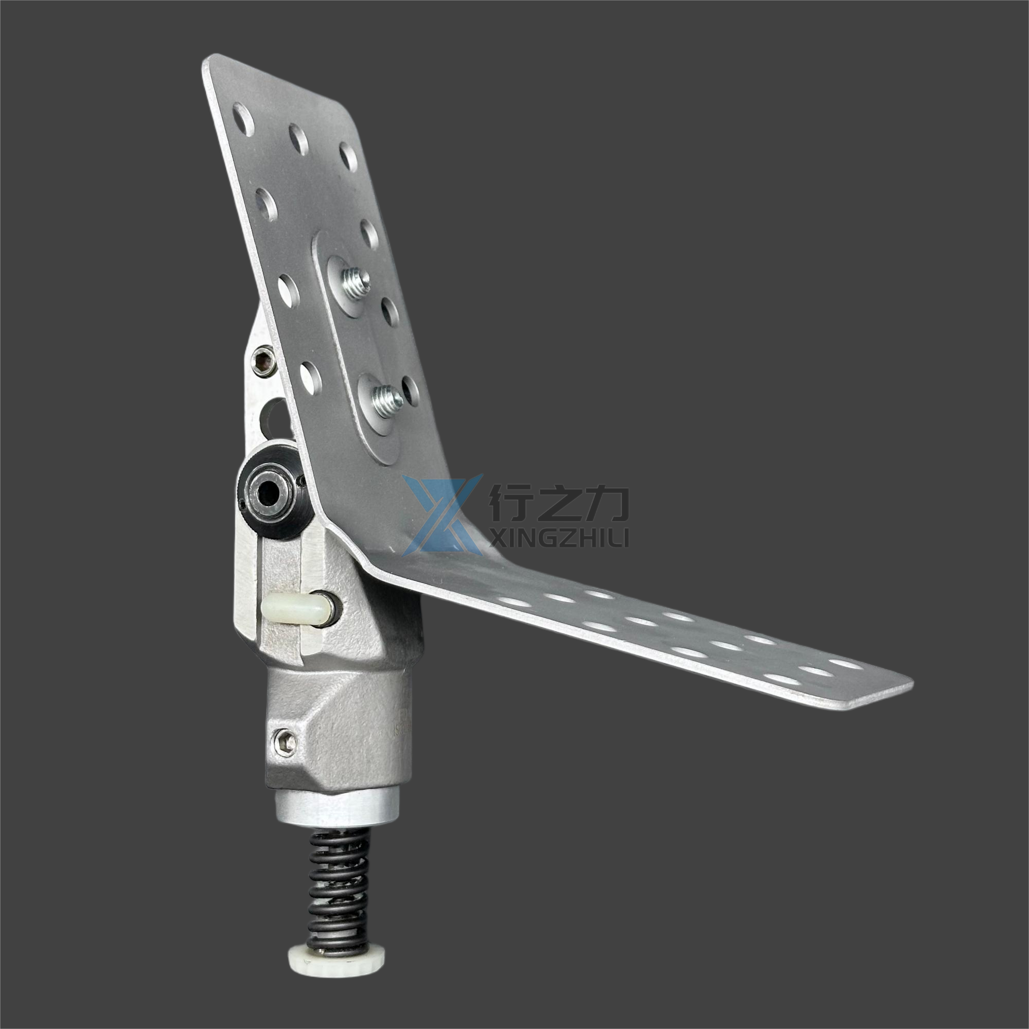 hip joint prosthetics