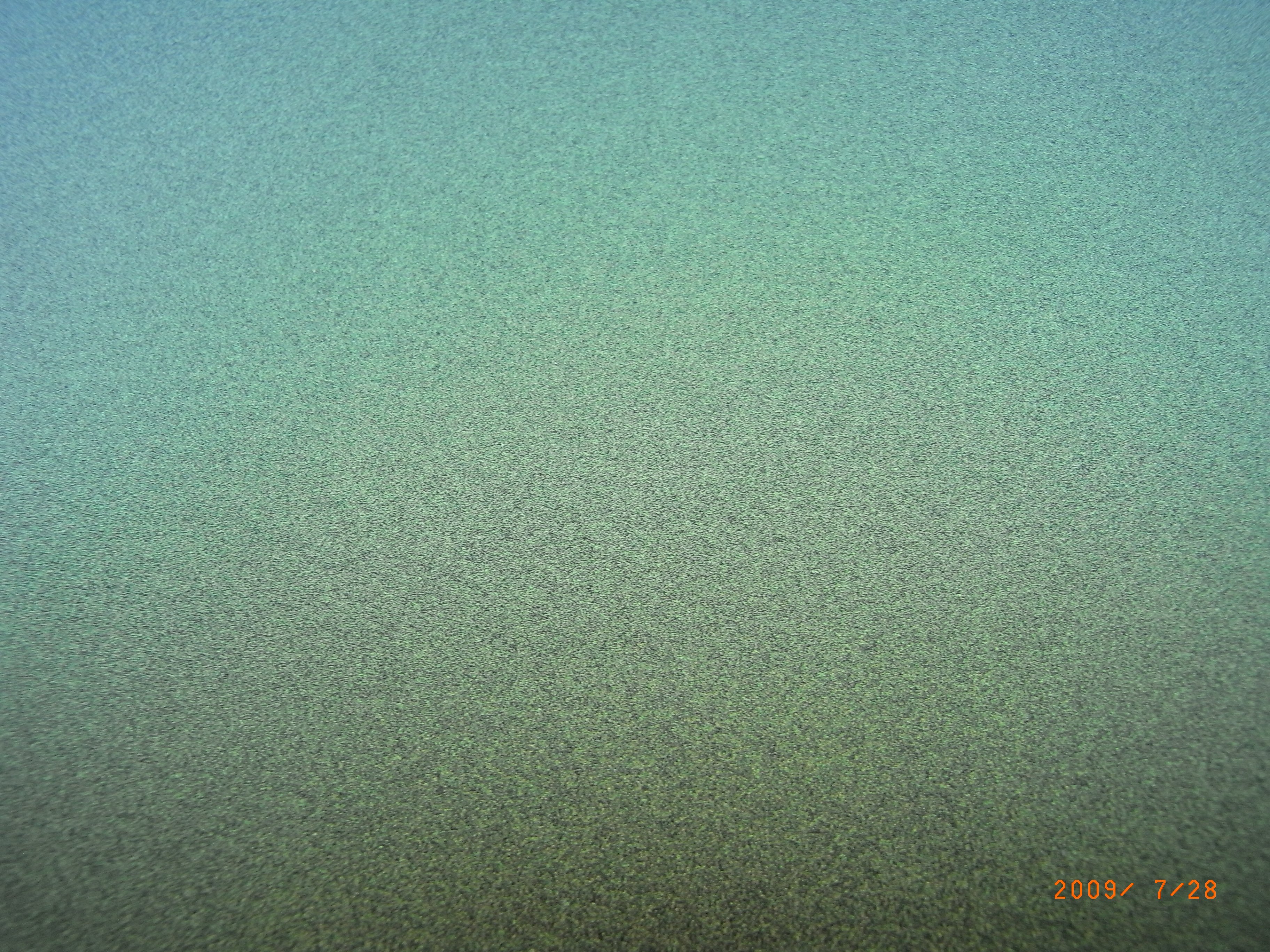 Anodized aluminum plastic panel