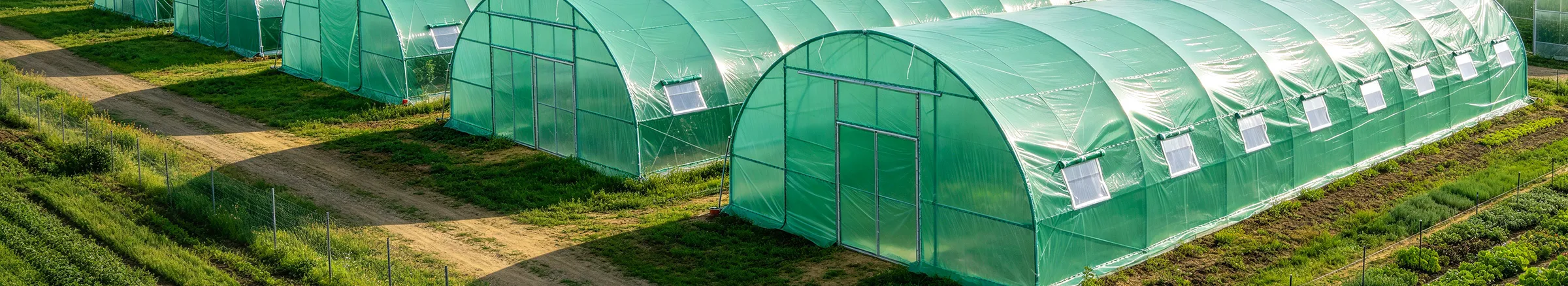 greenhouse and agriculture film-1