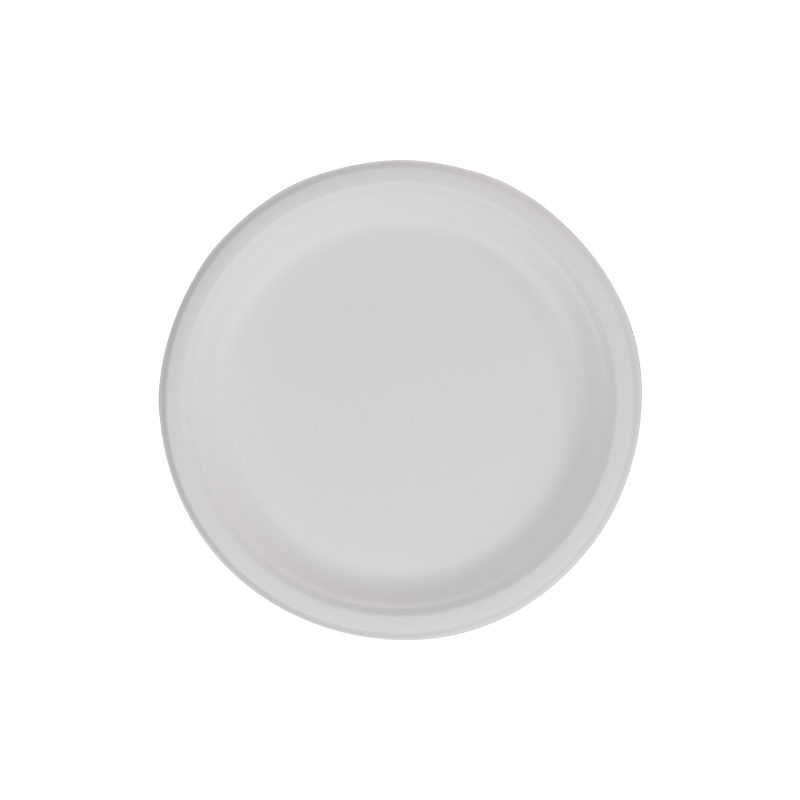 10 Round Plate