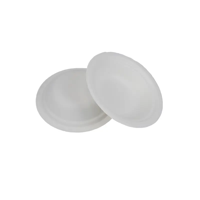 How Bagasse Lunch Boxes Support a Greener Planet