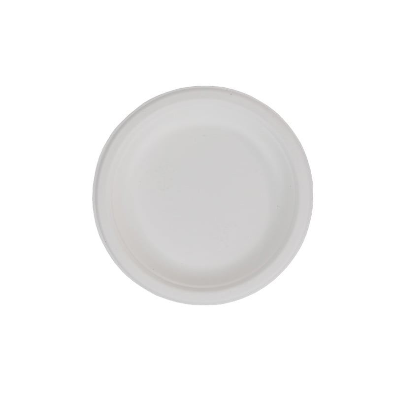 6 Plate