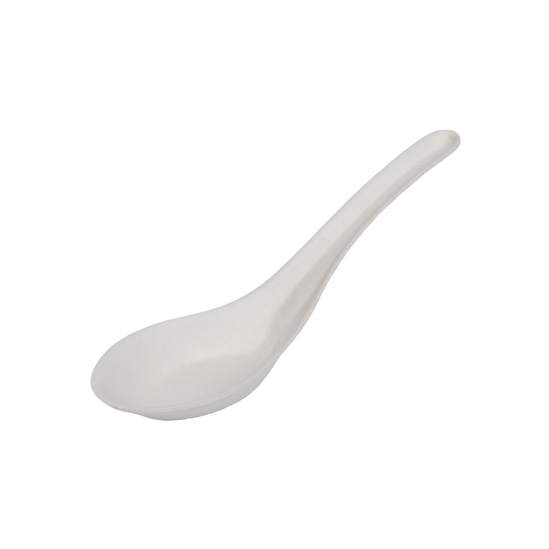 Chinese Spoon