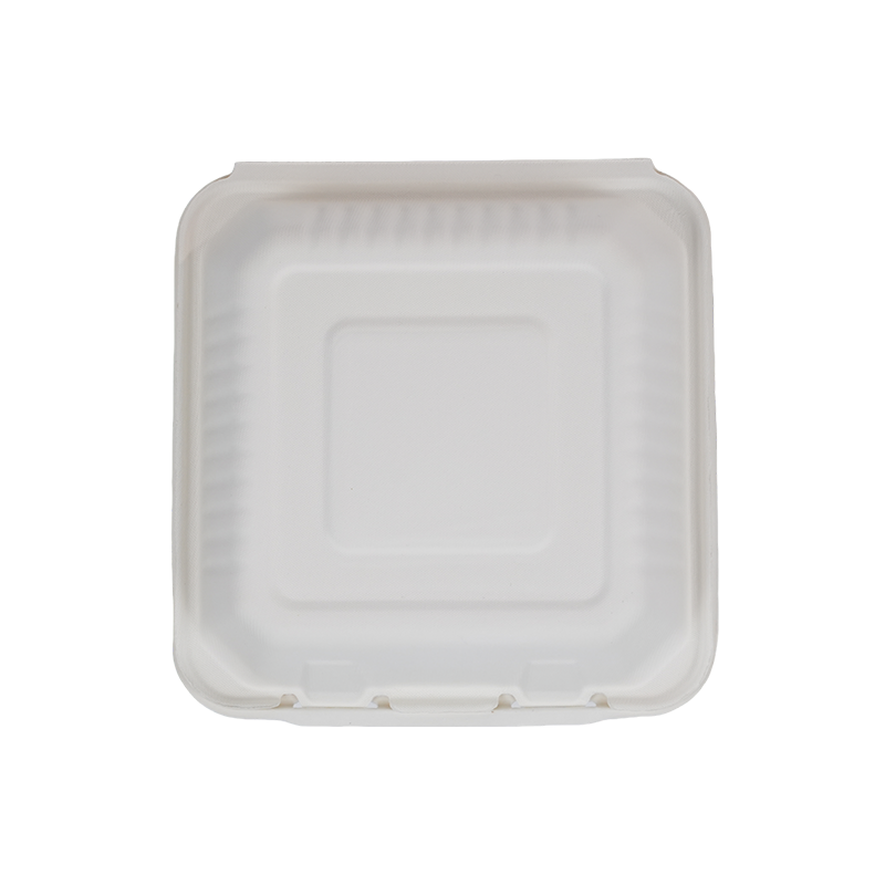 DSC08668 白.png