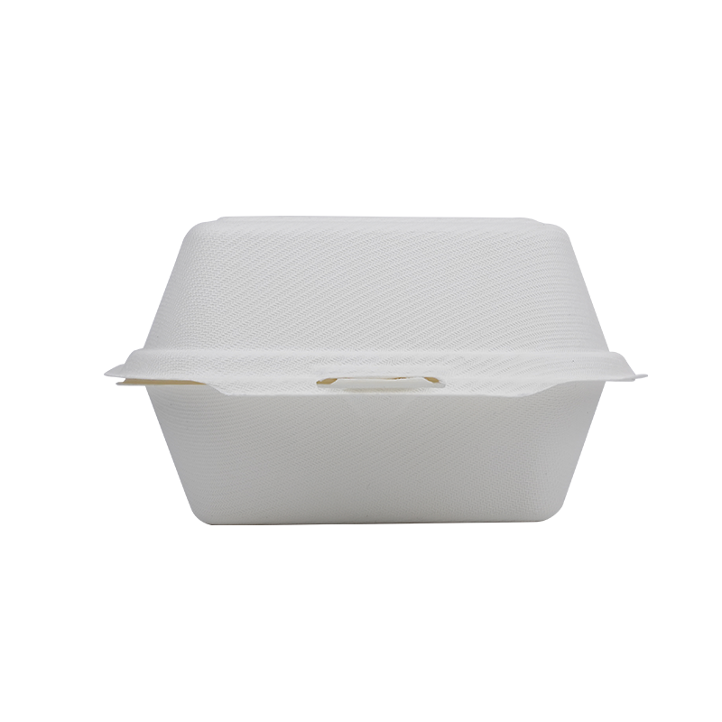 DSC08694 白.png