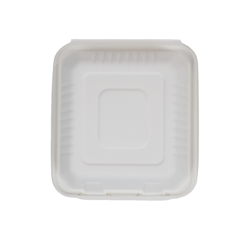 DSC08684 白.png