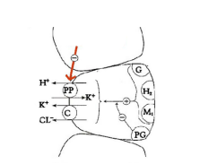 image(63cbb6cf37).png