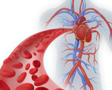 image(904a94f57f).png