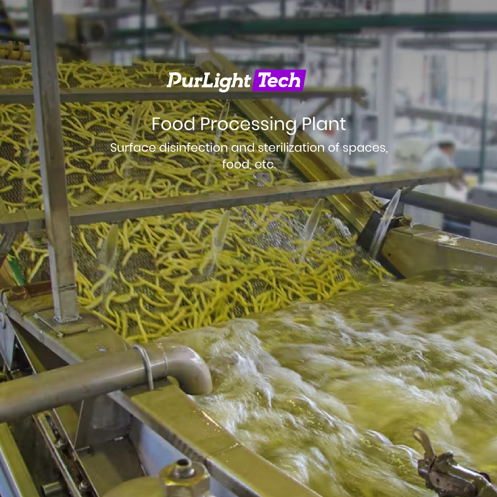 Food Processing Plant