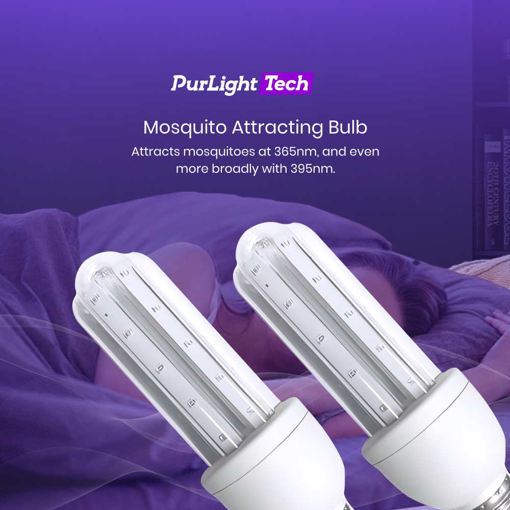 Browse All Products