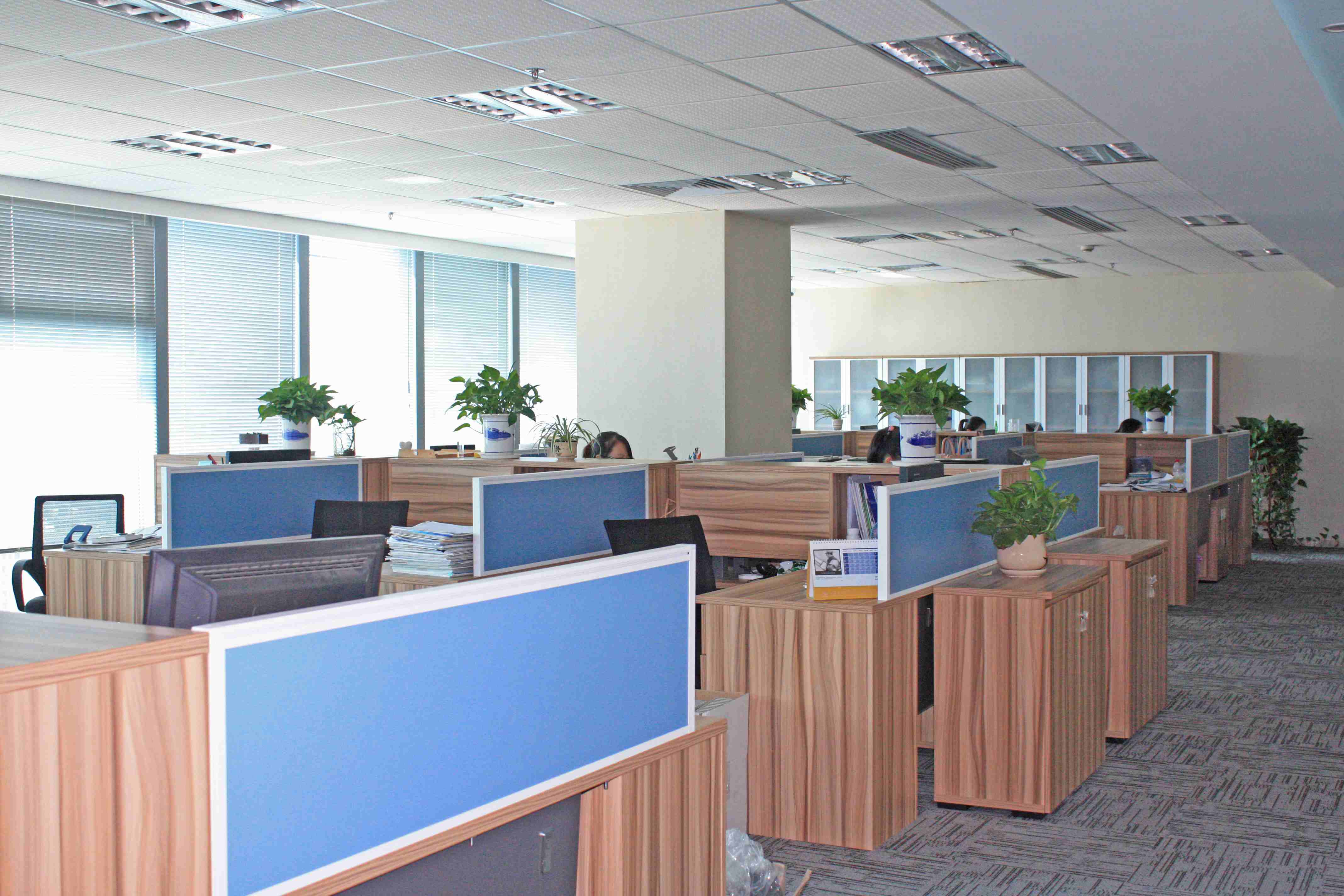 company