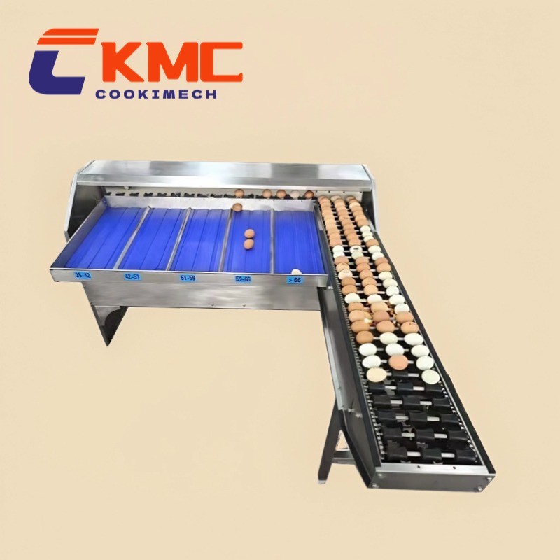 Egg Washing Machines for High-Capacity Egg Processing Plants
