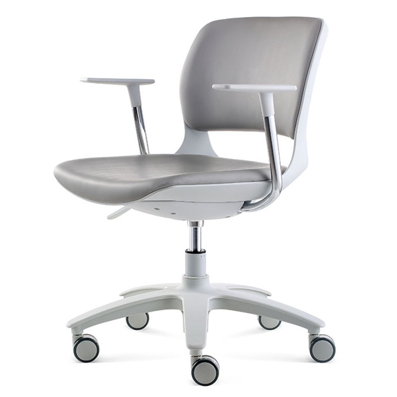  Pablo Swivel