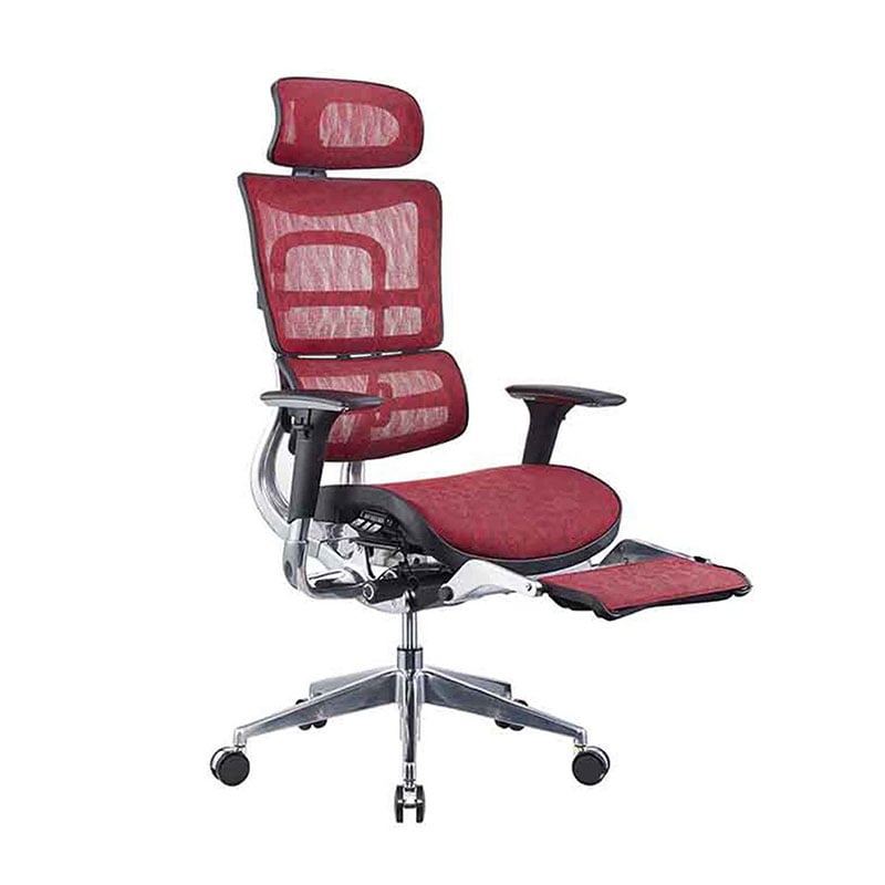  ErgoScale 8 Leather