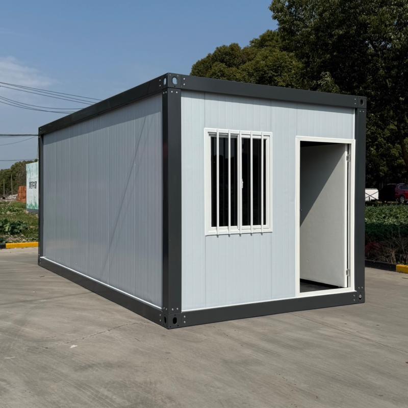 Scopri la versatilità e convenienza delle case container di 20 piedi