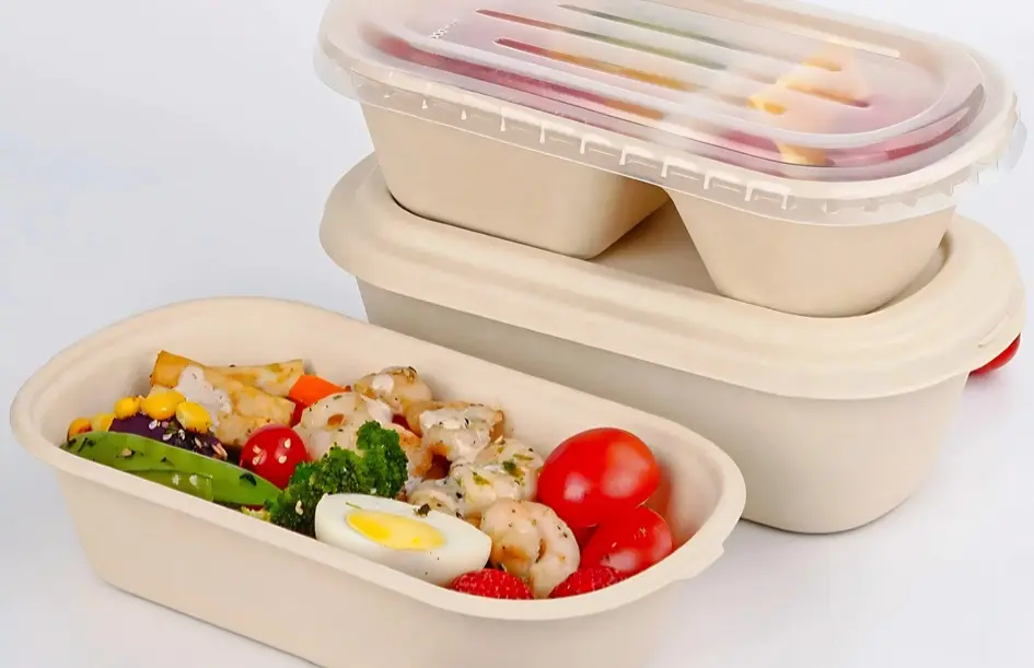 Bagasse