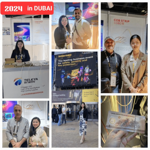Exposición Internacional de Iluminación de Dubái de enero de 2024