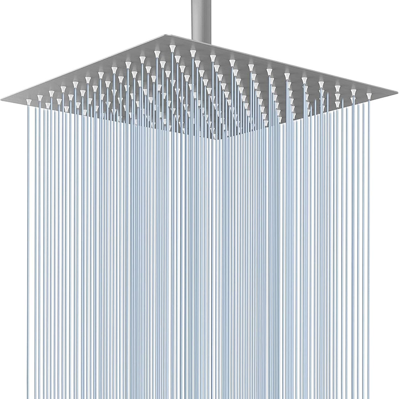 Duschkop